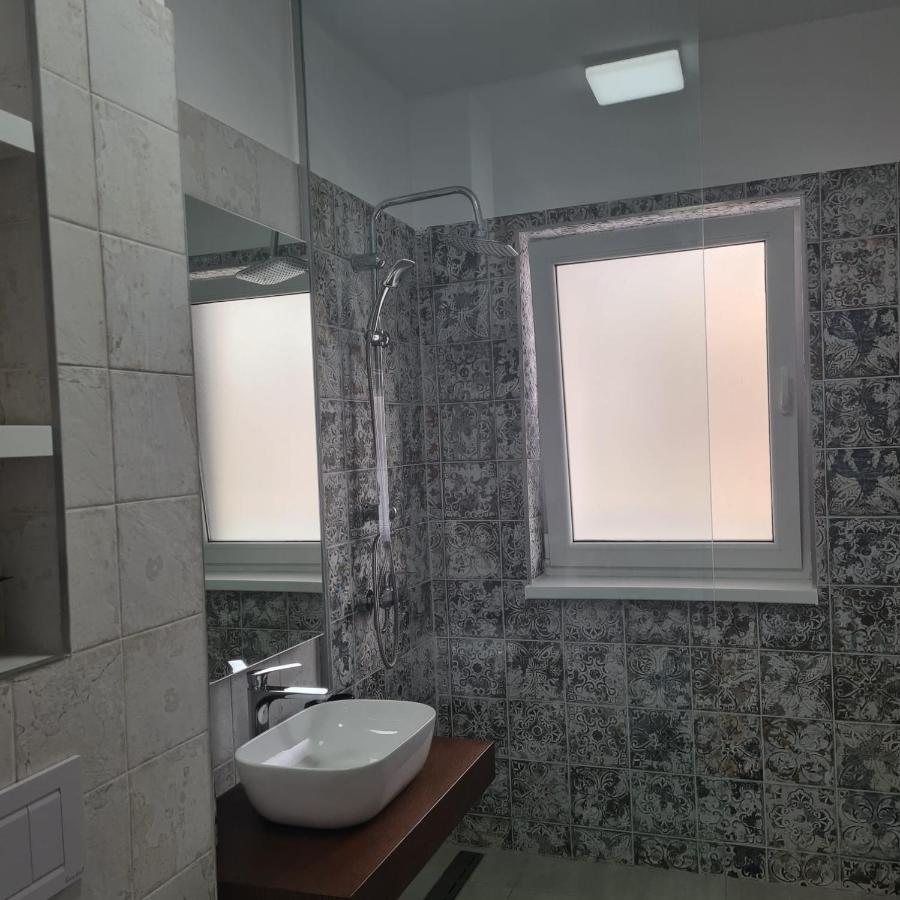Panoramic Apartment Braşov Dış mekan fotoğraf